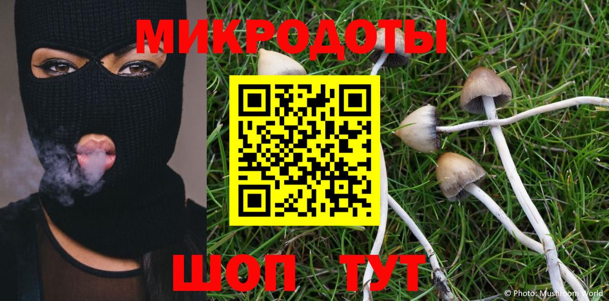 Галлюциногенные грибы Cubensis  Псилоцибиновые грибы GOLDEN TEACHER  Пенза  Вход с VPN 