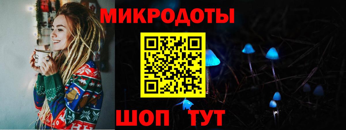 Галлюциногенные грибы Psilocybine cubensis Пенза